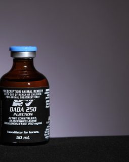 DADA 250