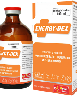 ENERGY DEX