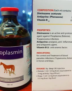 Piroplasmin