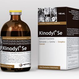 kinodyl se