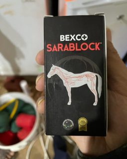 sarablock